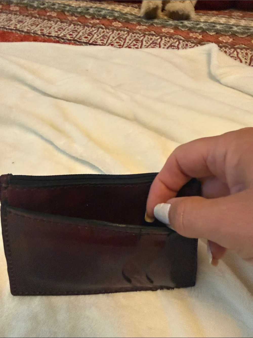 N/A compact brown